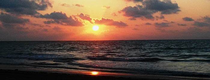 Praia da Pajuçara is one of Rômulo'nun Beğendiği Mekanlar.