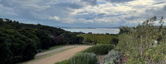 Mudbrick Wines is one of Frommer's New Zealand.