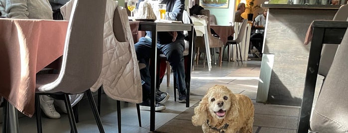 Himmelska Hundar is one of Dog friendly Stockholm.