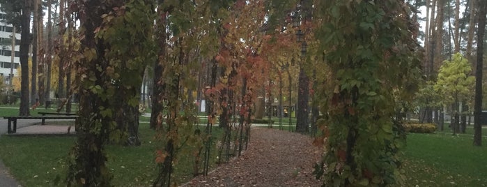 Центральний Ірпінський Міський Парк is one of Lieux qui ont plu à Mariya.