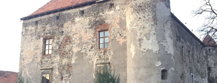 Чинадіївський замок (Сент-Міклош) is one of สถานที่ที่ Андрей ถูกใจ.