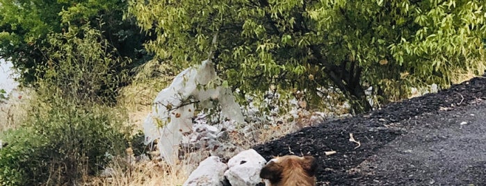 Çatalkaya Köyü is one of Lieux qui ont plu à Mehmet Ali.