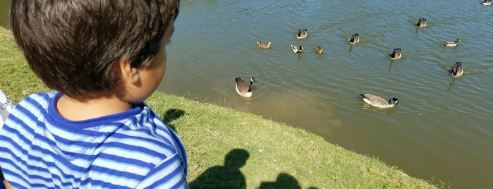 The Duck Pond is one of สถานที่ที่ George ถูกใจ.