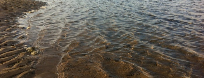 Eden Estuary is one of Mike’s Liked Places.