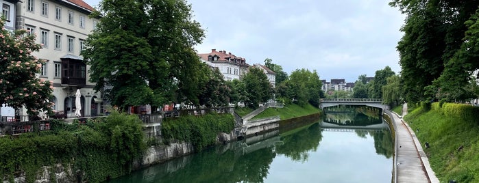 Šuštarski most is one of Slovenia - Ljubljana TIPS.