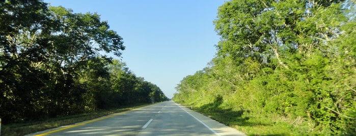 Carretera Cancún - Merida is one of Caroline : понравившиеся места.