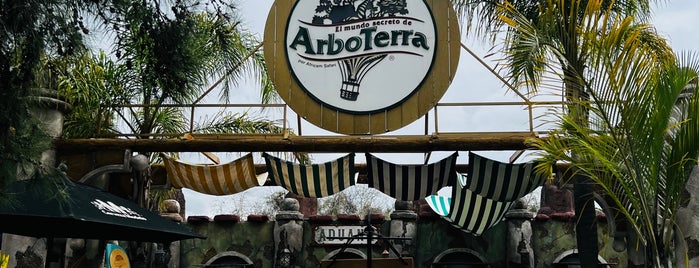 Arboterra is one of Tengo que.