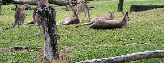 Rockhampton City Zoo is one of travel_rockhampton.