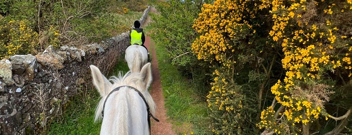 Tower Farm Riding Stables is one of Edinburgh.