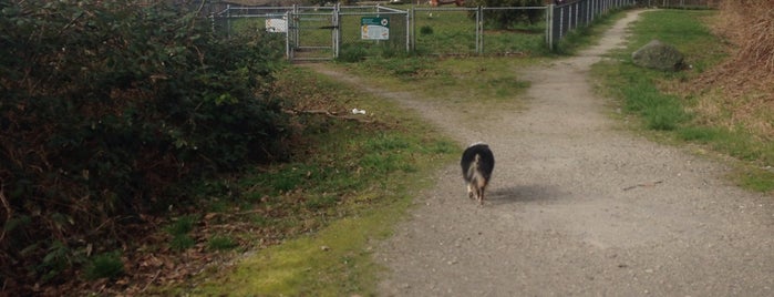 Taylor Park Off Leash Dog Area is one of enclosed off-leash dog parks!.