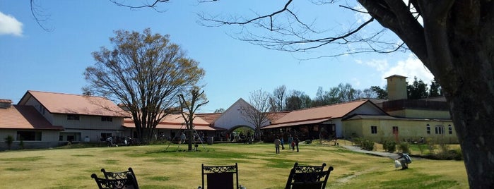 St.Cousair Winery is one of สถานที่ที่ Tracey ถูกใจ.