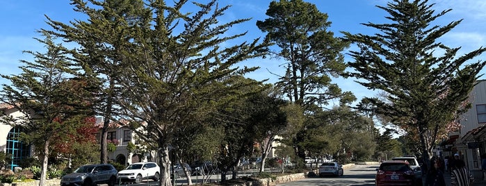 Carmel Bay Company is one of Monterey.