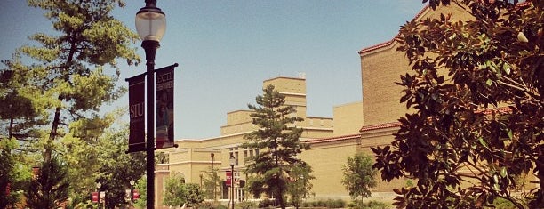 Southern Illinois University is one of Orte, die T gefallen.