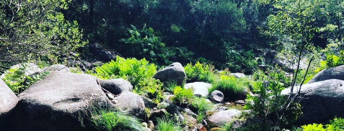 Tasca do Brito is one of braga.