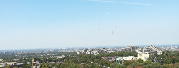 Polytechnique Montréal - Bibliothèque is one of Universités.