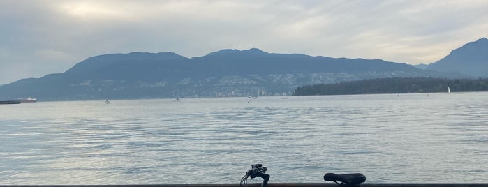 Kitsilano Beach is one of Vancouver BC.
