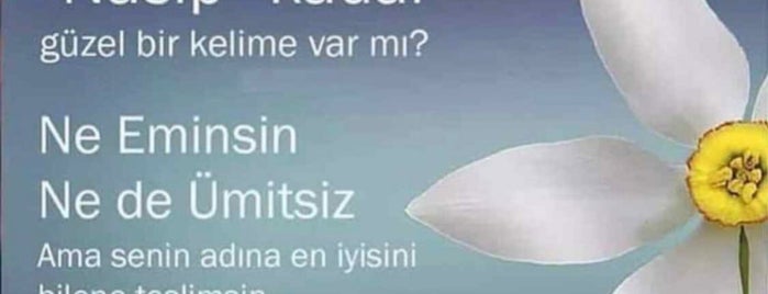 Çamlıca Öğrenci Yurdu is one of 🌼 : понравившиеся места.