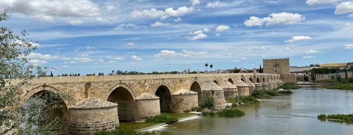 Puente Romano is one of Cordoba.