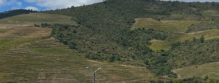 Quinta de São Luiz is one of Places - Douro Valley.