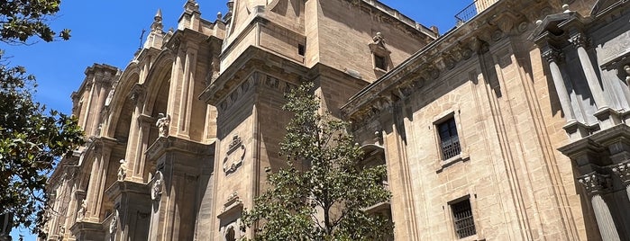 Catedral de Granada is one of Semana Santa de Granada.