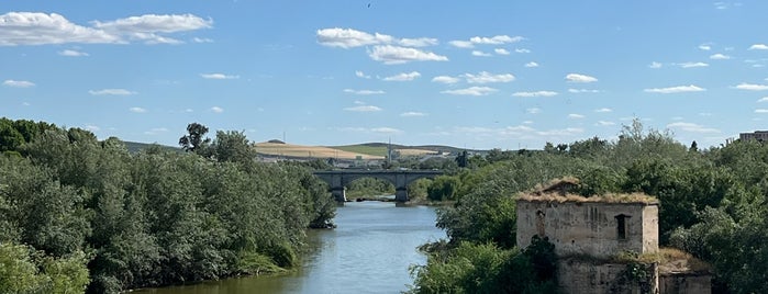 Puente Romano is one of cordoba.