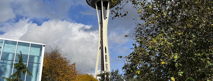 Space Needle Park is one of Mikeさんのお気に入りスポット.