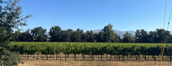 Alexander Valley is one of Top picks for Vineyards.