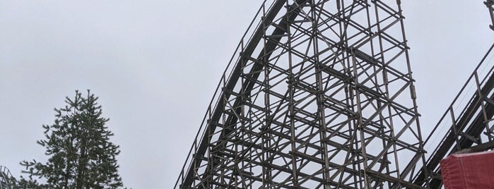 El Toro is one of ROLLER COASTERS.