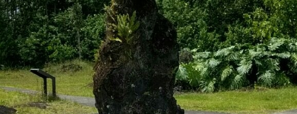 Lava Tree State Monument is one of Big Island Trip.