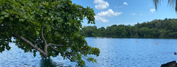 Cenote Azul is one of Yucatan.