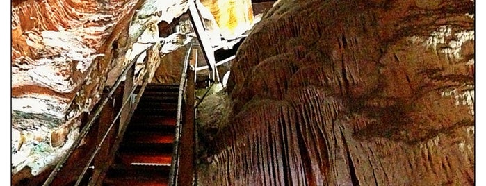 Mercer Caverns is one of Kevinさんのお気に入りスポット.
