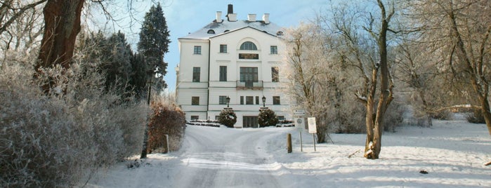 Schlosshotel Burg Schlitz, Relais&Châteaux is one of mooon - Hotels in Nord- und Mitteldeutschland.