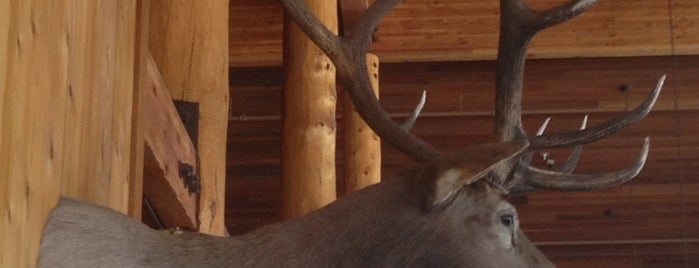Two Elk Restaurant is one of Lugares favoritos de Greg.