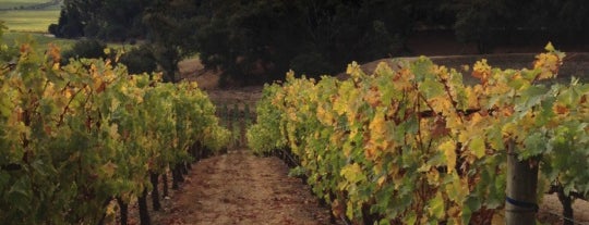 Hartwell is one of Napa Valley.