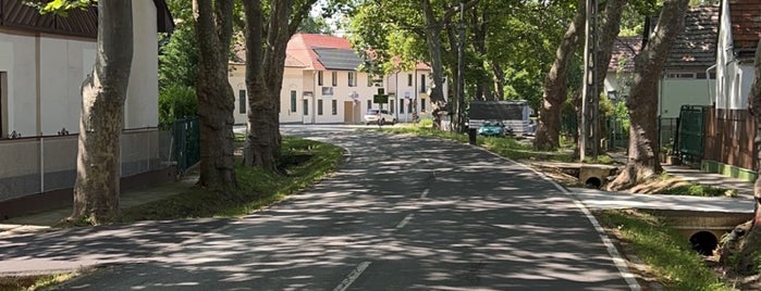 Balatonlelle is one of Cities in Hungary.