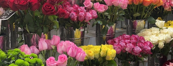 Spring Rose is one of Riyadh Miscellaneous.