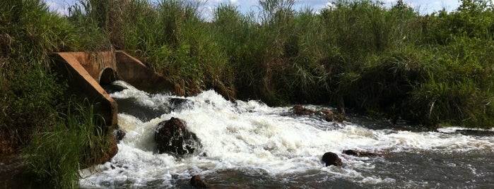 Vera is one of Mato Grosso.