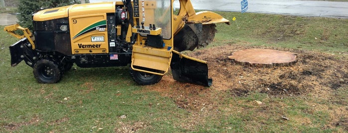 J's Tree Trimming & Removal is one of Recommendations around Dexter, MI.