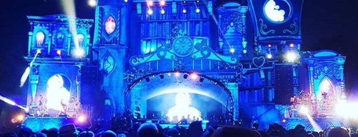 Cocoon - Vinyl Only Stage is one of Tomorrowland.