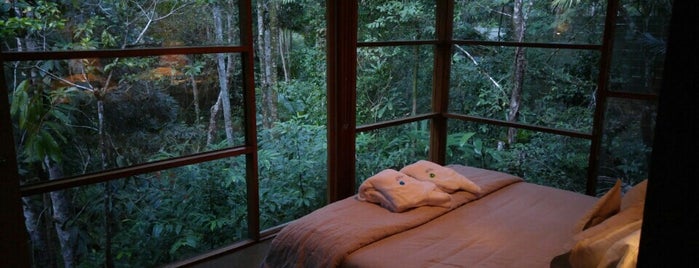 Crystal Creek Rainforest Retreat is one of Travel 2 Do.