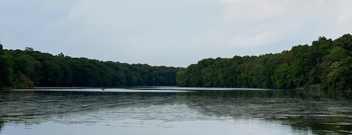 Blydenburgh Park is one of Lieux qui ont plu à Anthony.