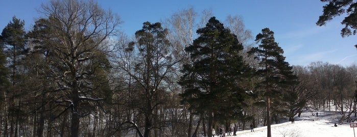 Ясеневский лесопарк is one of Сады и парки Москвы.