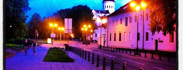 Vilnius is one of Capitals of Europe.