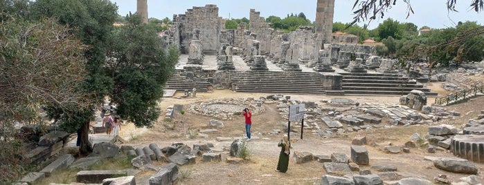 Didyma Antik Kenti is one of ANCIENT LOCATIONS IN TURKEY.