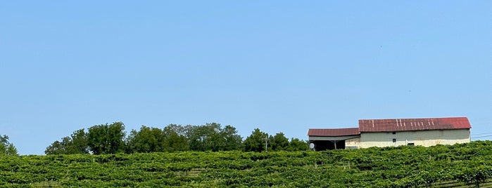 Les Bourgeois Vineyards Blufftop Bistro is one of Columbia.