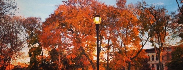 Saratoga Park is one of Shannon’s Liked Places.