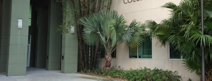 Christine E. Lynn College of Nursing is one of Schools.