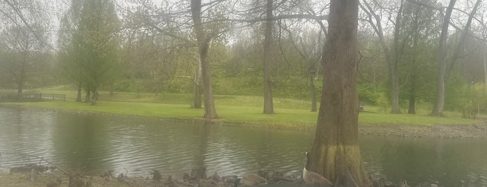 Shelby Park Duck Pond is one of Nashville 2019.
