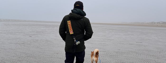 Camber Sands Beach is one of Tempat yang Disukai Santi.