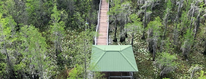 Grand Bay WMA is one of Valdosta.